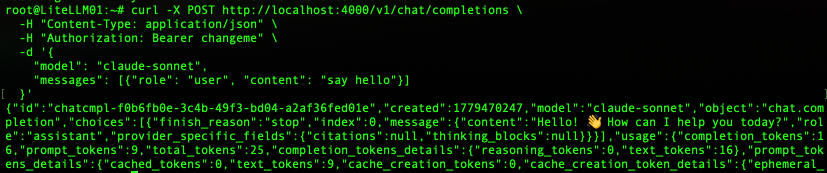 Terminal showing curl command invoking the chat completion API method of LiteLLM