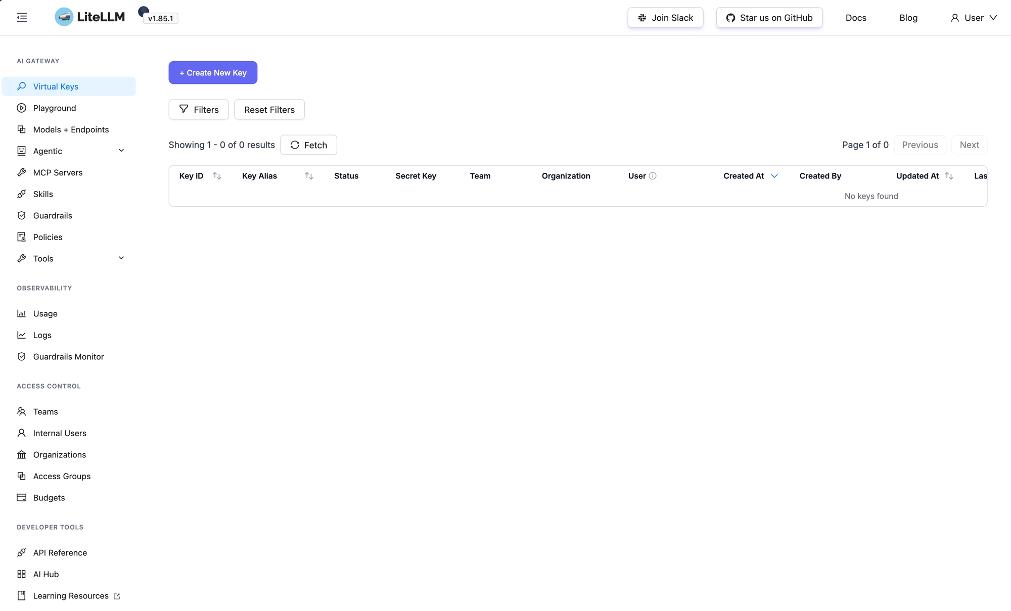 Home page of the LiteLLM Web UI